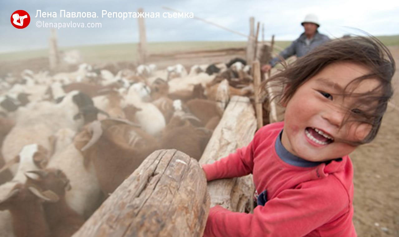 Монголия. Пустыня Гоби, август-сентябрь 2007, 2008, 2009