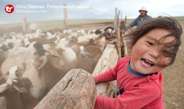 Монголия. Пустыня Гоби, август-сентябрь 2007, 2008, 2009