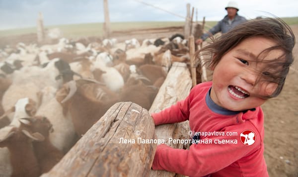 Монголия. Пустыня Гоби, август-сентябрь 2007, 2008, 2009